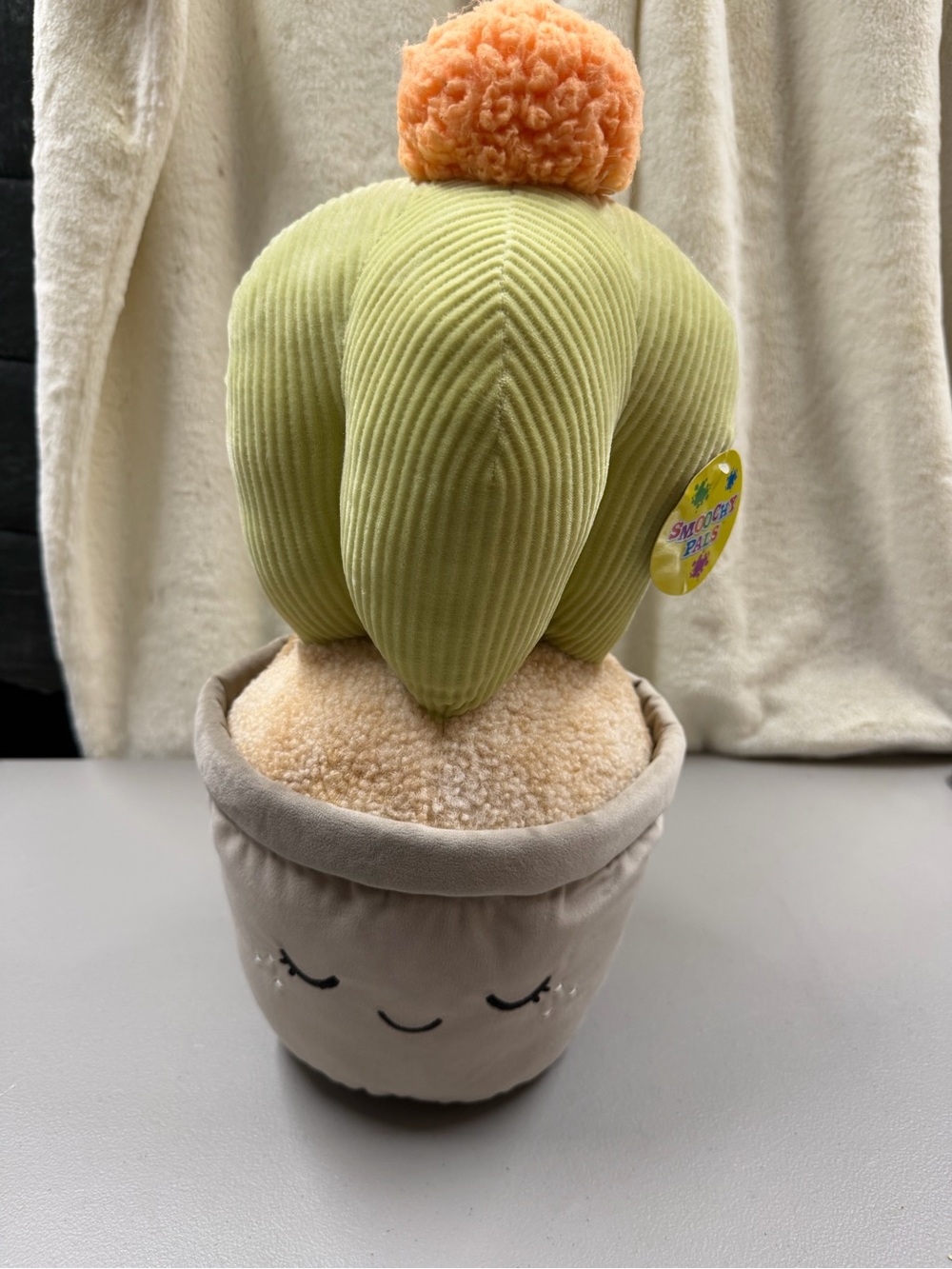 Cute Cactus - Picture 1 of 7